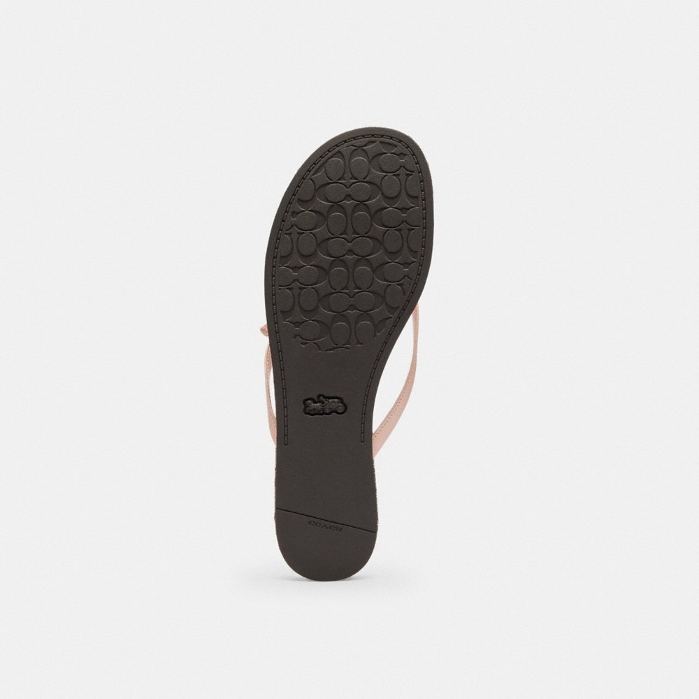 Coach Outlet Bow Flip Flop In Signature Jacquard - Preorder