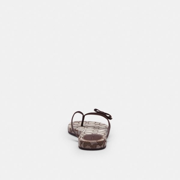 Coach Outlet Bow Flip Flop In Signature Jacquard - Preorder