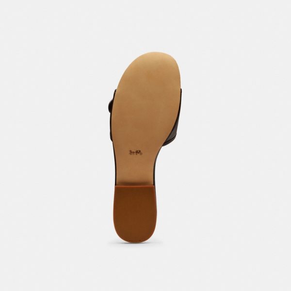 Coach Outlet Margot Flat Sandal - Preorder