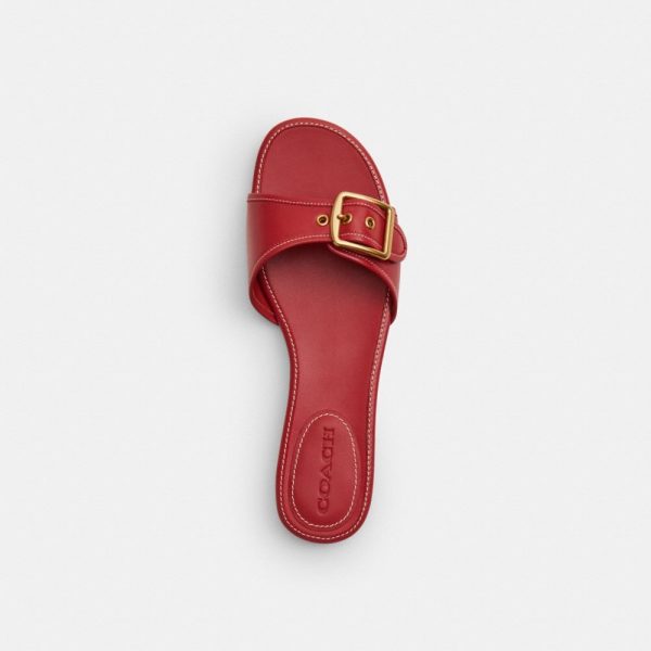Coach Outlet Margot Flat Sandal - Preorder