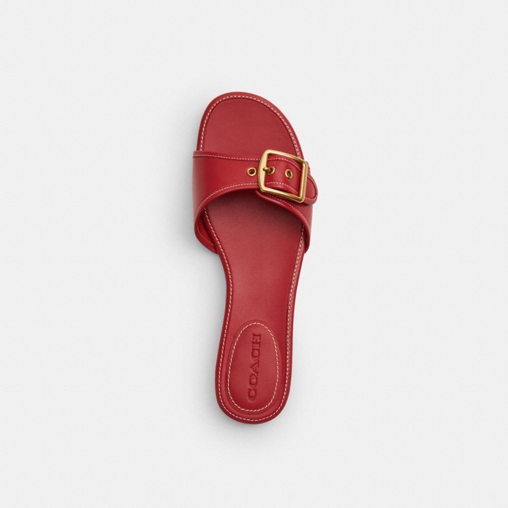 Coach Outlet Margot Flat Sandal - Preorder