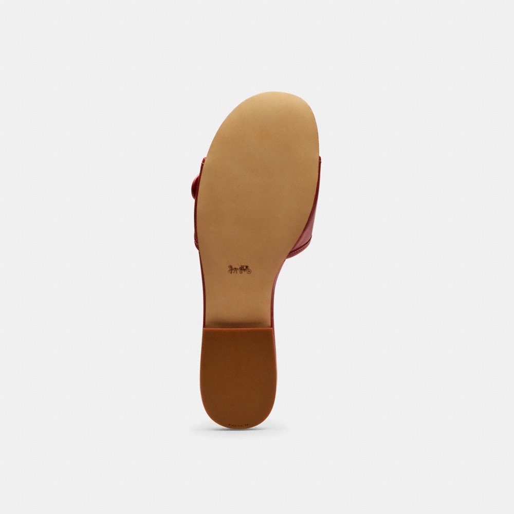 Coach Outlet Margot Flat Sandal - Preorder
