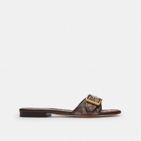 Coach Margot Flat Sandal In Signature Jacquard - Preorder