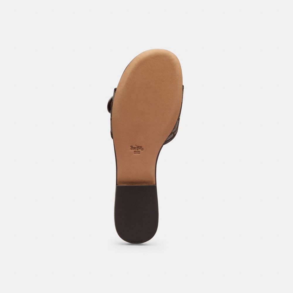 Coach Margot Flat Sandal In Signature Jacquard - Preorder