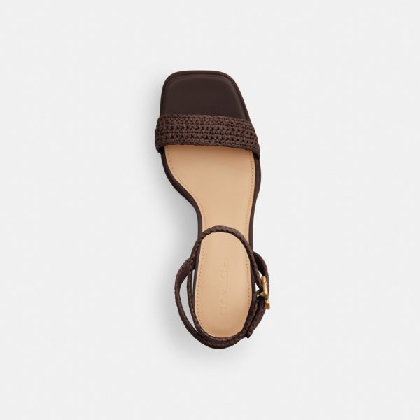 Coach Outlet Tea Rose Platform Sandal - Preorder