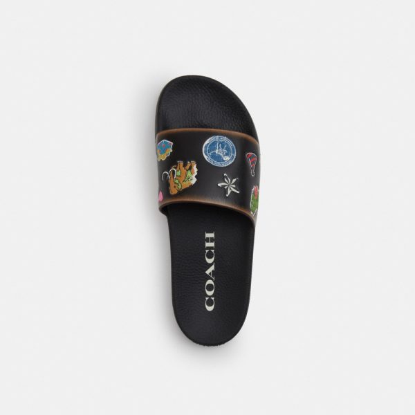 Coach Outlet Rexy 10th Birthday Udele Slide With Sticker Print - Preorder