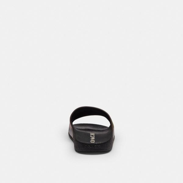 Coach Outlet Rexy 10th Birthday Udele Slide With Sticker Print - Preorder