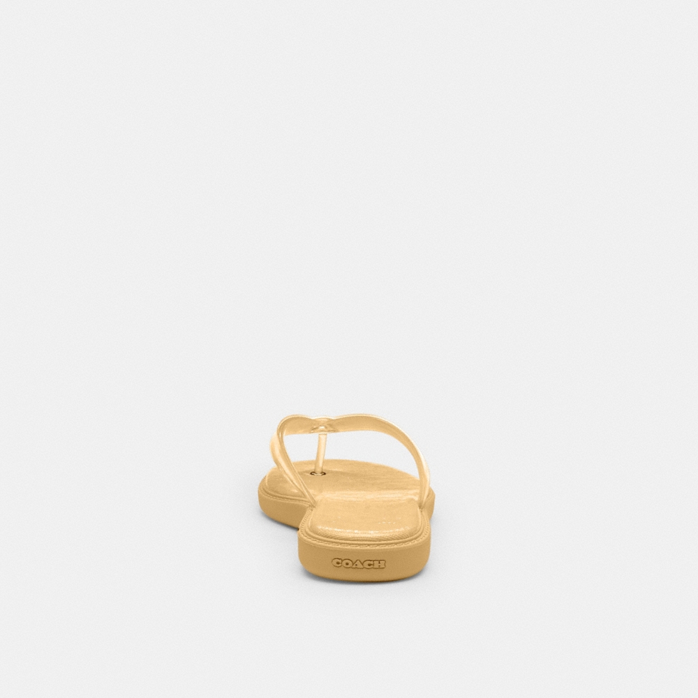 Coach Outlet Jelly Flip Flop In Signature - Preorder