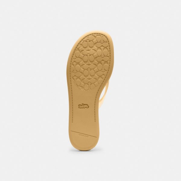 Coach Outlet Jelly Flip Flop In Signature - Preorder