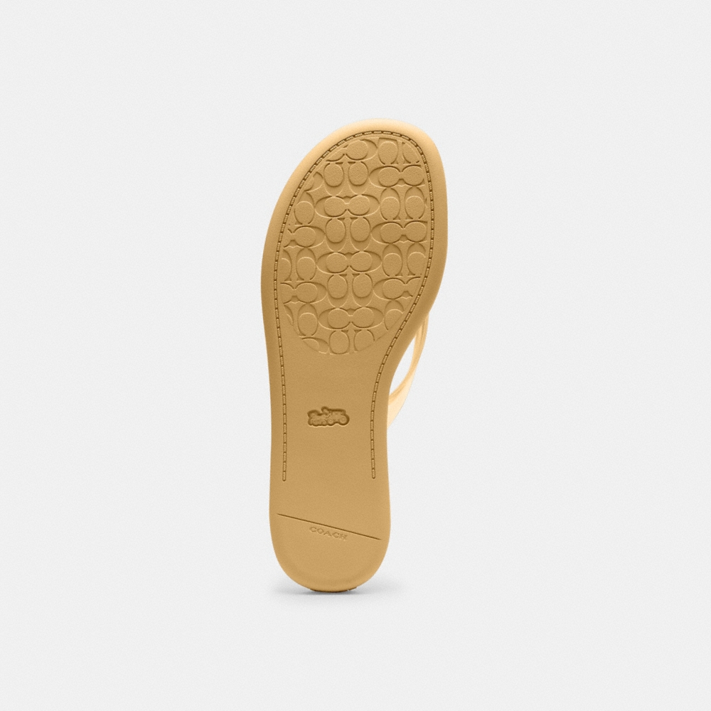 Coach Outlet Jelly Flip Flop In Signature - Preorder