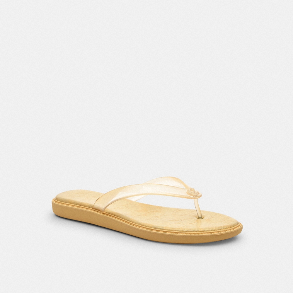 Coach Outlet Jelly Flip Flop In Signature - Preorder