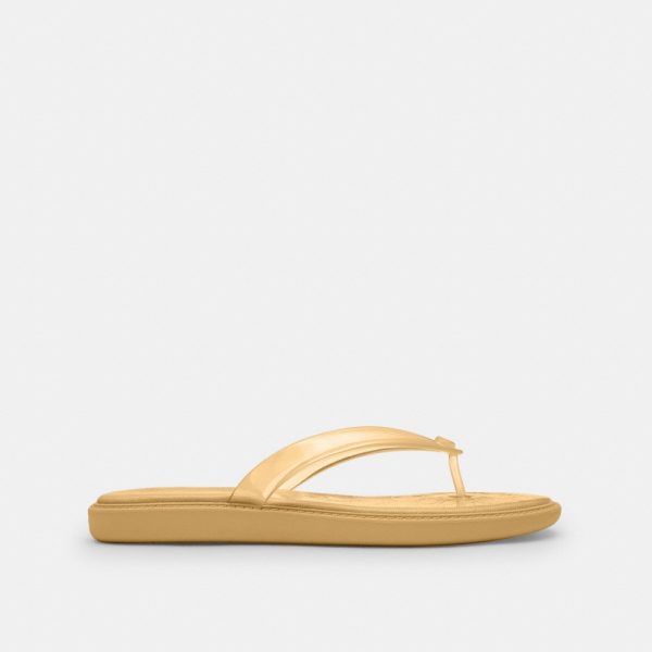 Coach Outlet Jelly Flip Flop In Signature - Preorder