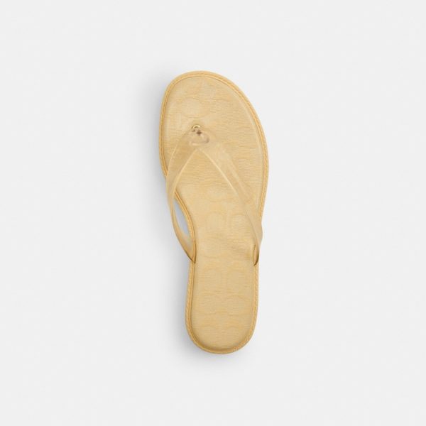 Coach Outlet Jelly Flip Flop In Signature - Preorder
