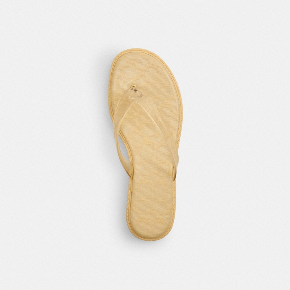 Coach Outlet Jelly Flip Flop In Signature - Preorder