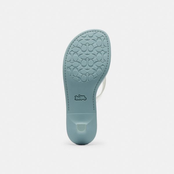 Coach Outlet Jelly Thong Sandal In Signature - Preorder