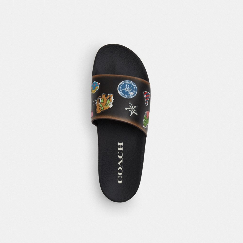 Coach Outlet Rexy 10th Birthday Pool Slide - Preorder