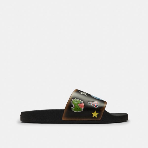 Coach Outlet Rexy 10th Birthday Pool Slide With Sticker Print - Preorder