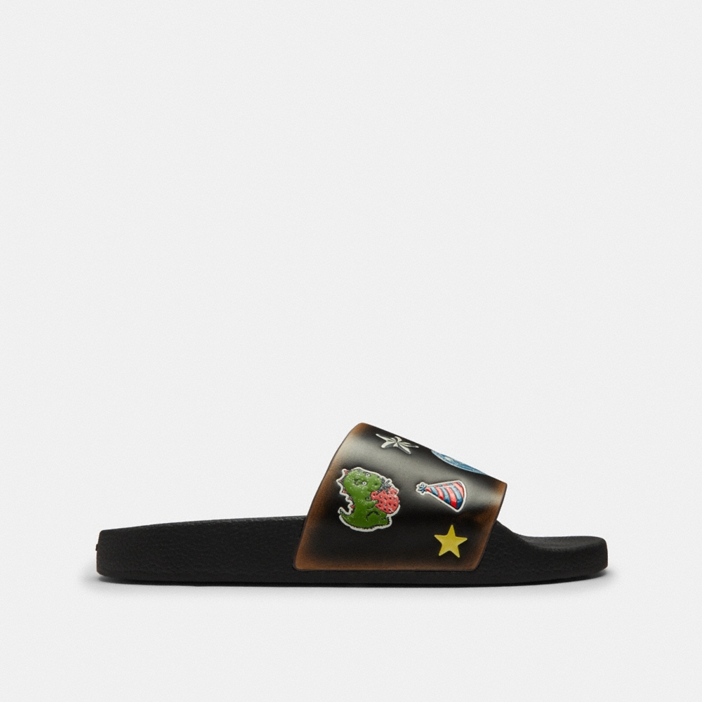 Coach Outlet Rexy 10th Birthday Pool Slide With Sticker Print - Preorder