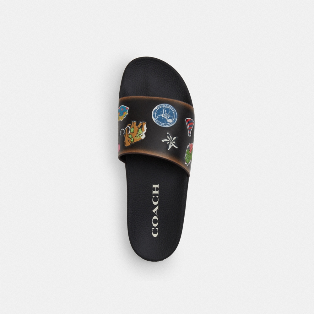 Coach Outlet Rexy 10th Birthday Pool Slide With Sticker Print - Preorder