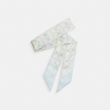 Coach Outlet Signature Silk Skinny Scarf - Preorder — Chalk/Blue