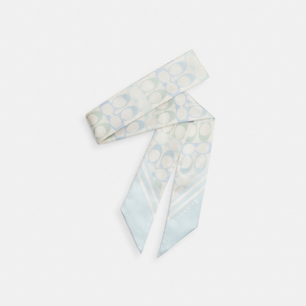 Coach Outlet Signature Silk Skinny Scarf - Preorder