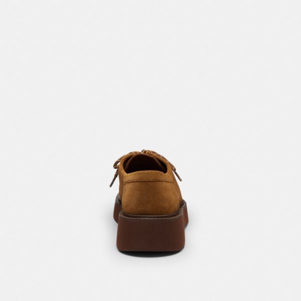Coach Outlet Chukka Boot In Signature Suede - Preorder