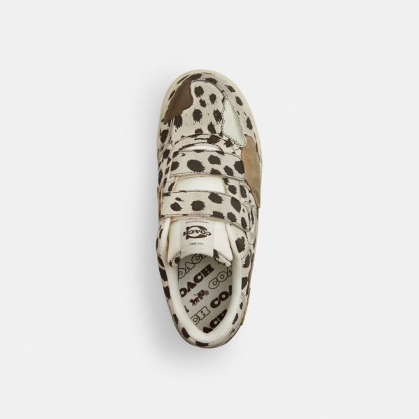 Coach Outlet Double Strap Soho Sneaker With Clouds - Preorder