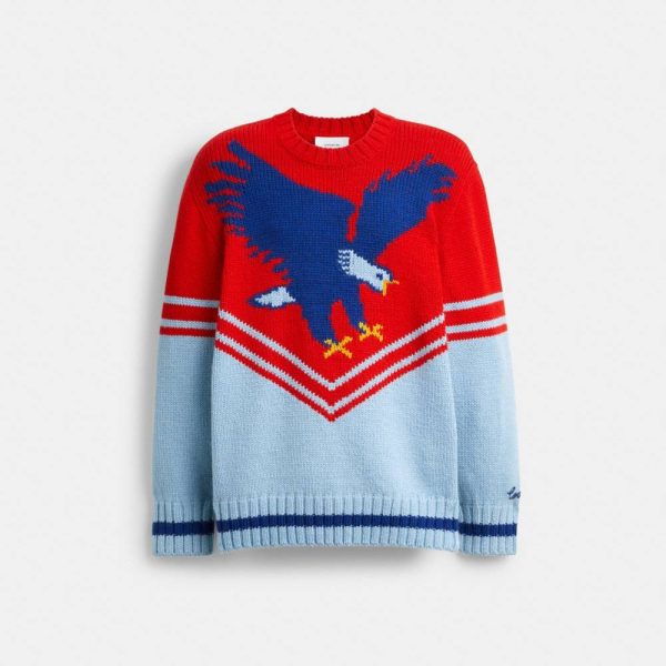 Coach Eagle Sweater - Preorder