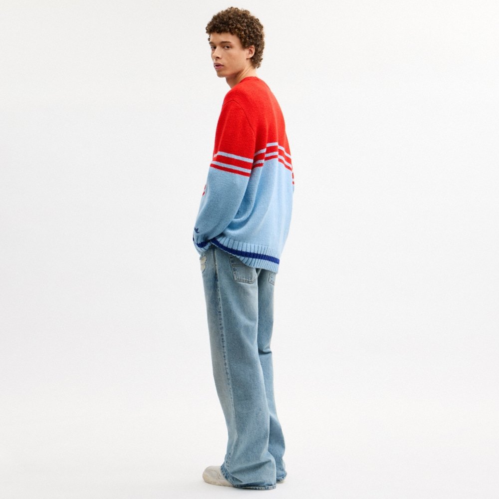 Coach Eagle Sweater - Preorder