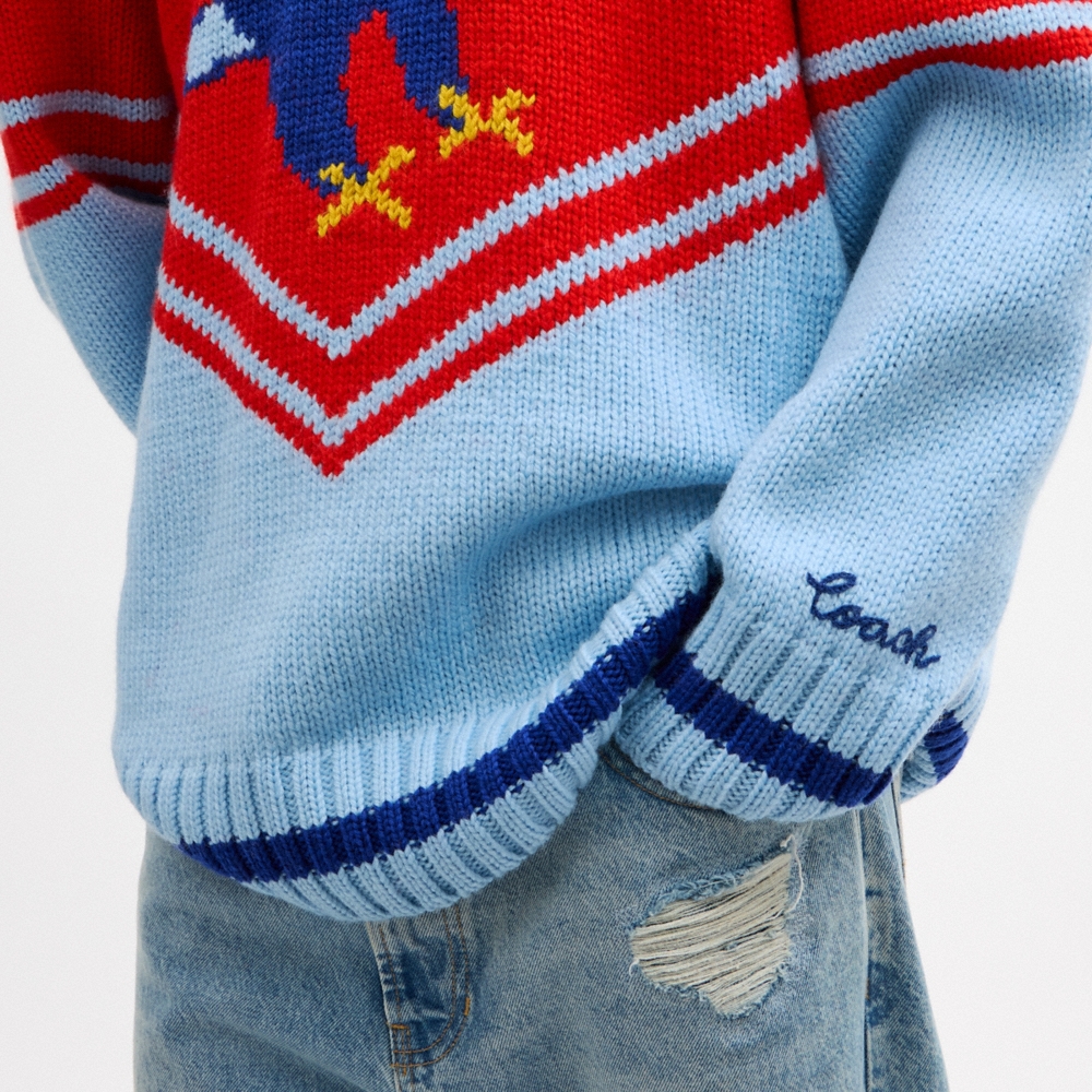 Coach Eagle Sweater - Preorder