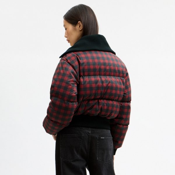 Coach Printed Puffer With Rib In Recycled Polyamide - Preorder