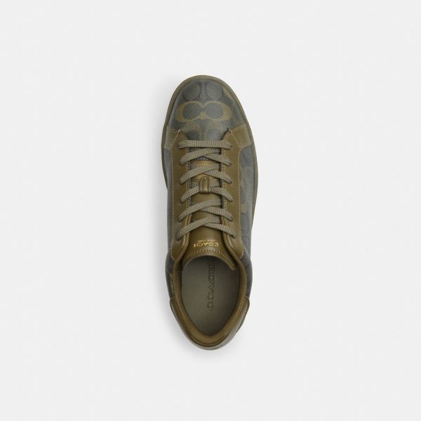 Coach Outlet High Line Sneaker In Signature Camo Print - Preorder