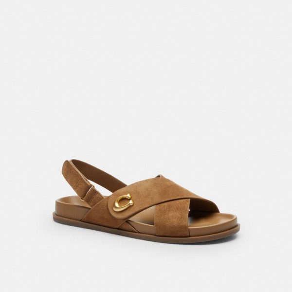 Coach Outlet Sculpted C Criss Cross Sandal - Preorder