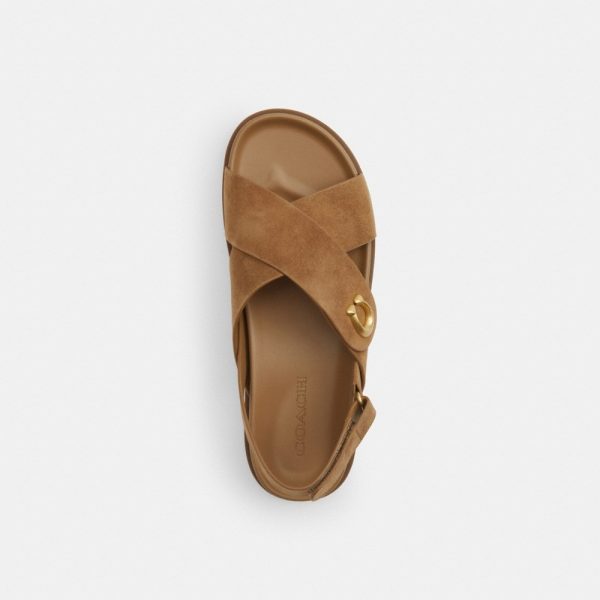Coach Outlet Sculpted C Criss Cross Sandal - Preorder