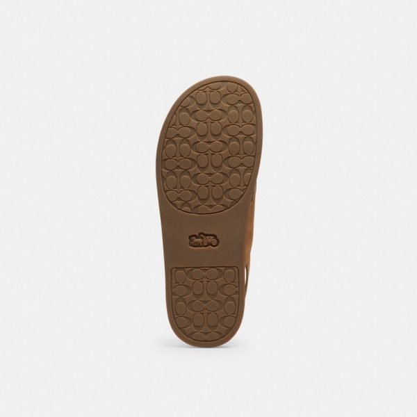 Coach Outlet Sculpted C Criss Cross Sandal - Preorder