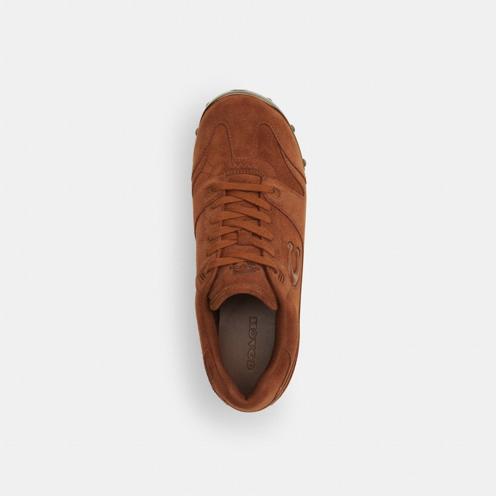 Coach Outlet Coach | Brain Dead Soho Wooden Clog - Preorder