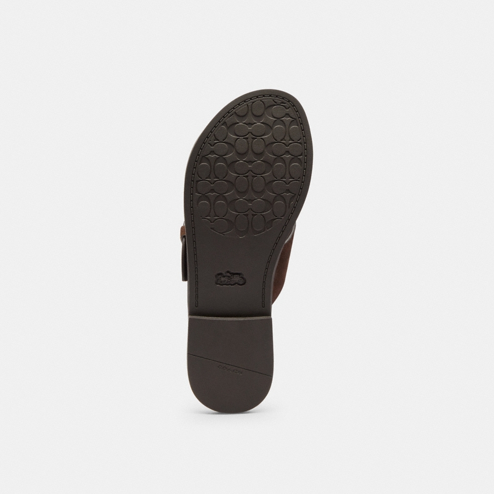 Coach Outlet Crisscross Buckle Sandal - Preorder - Image 5