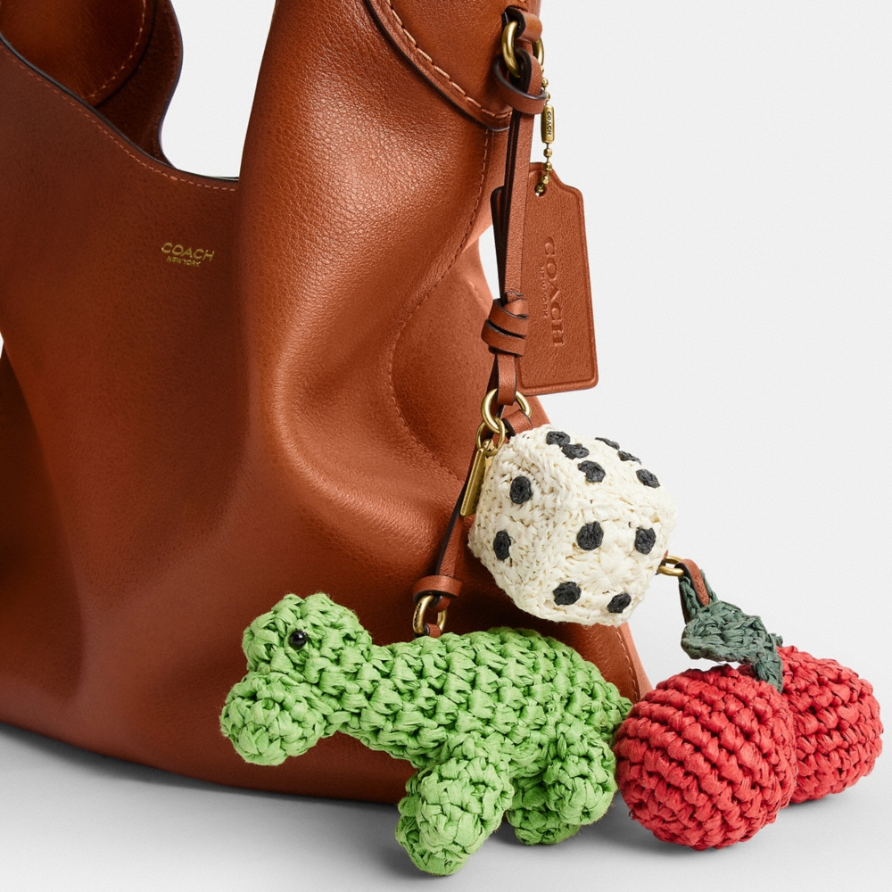 Coach Outlet Brooklyn Shoulder Bag 28 With Charms - Preorder