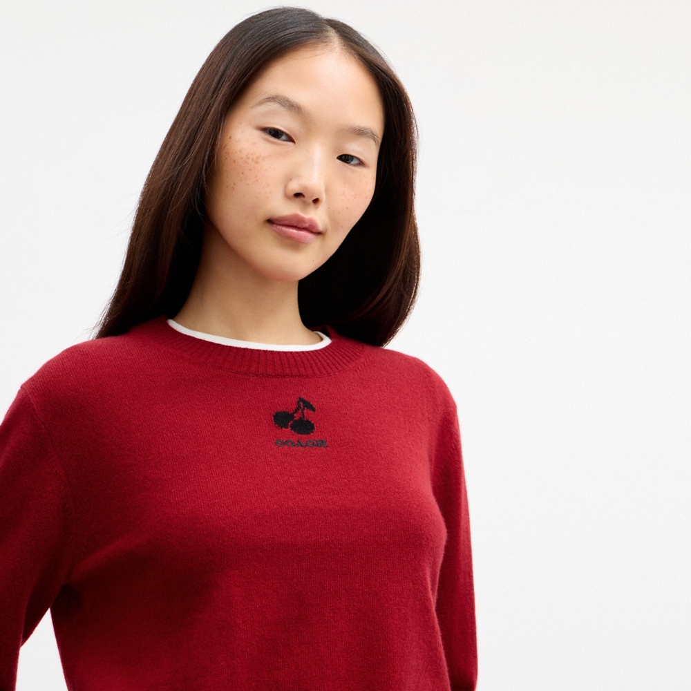 Coach Outlet Mini Intarsia Crewneck Sweater - Preorder