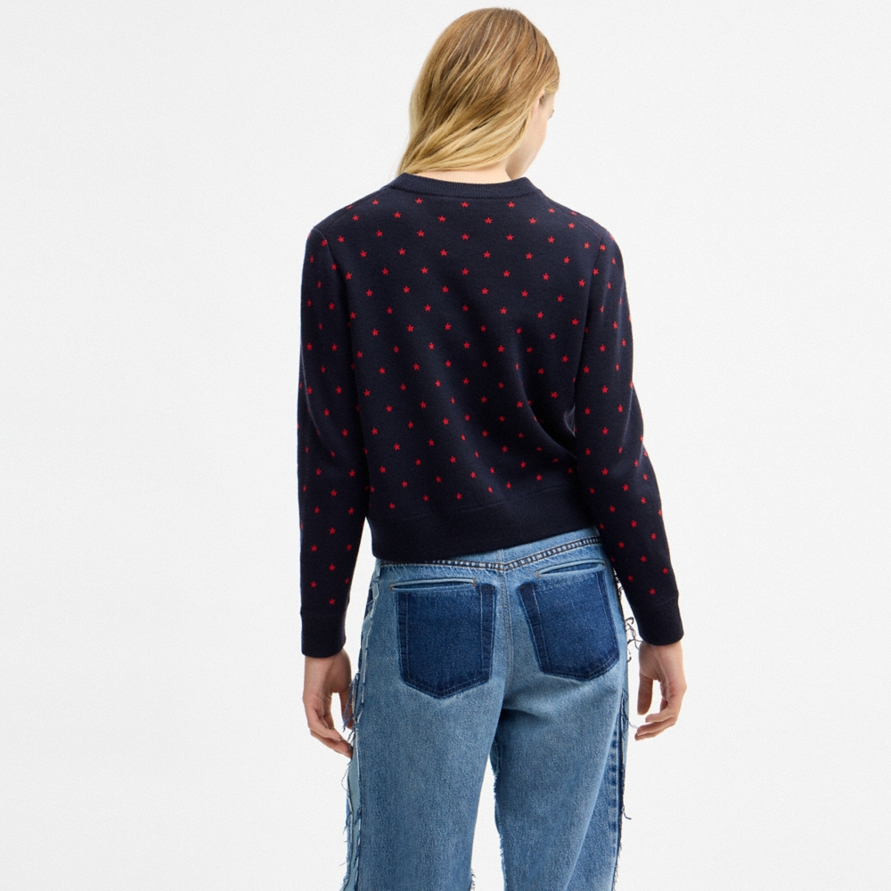 Coach Outlet Coach Double Face Crewneck Sweater - Preorder