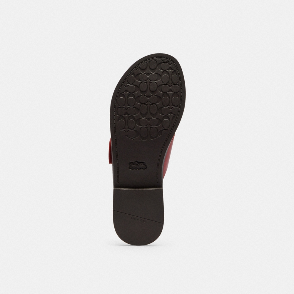 Coach Outlet Crisscross Buckle Sandal - Preorder