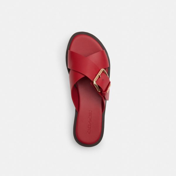 Coach Outlet Crisscross Buckle Sandal - Preorder