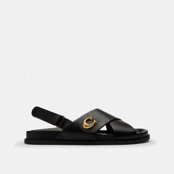 Coach Outlet Sculpted C Criss Cross Sandal - Preorder