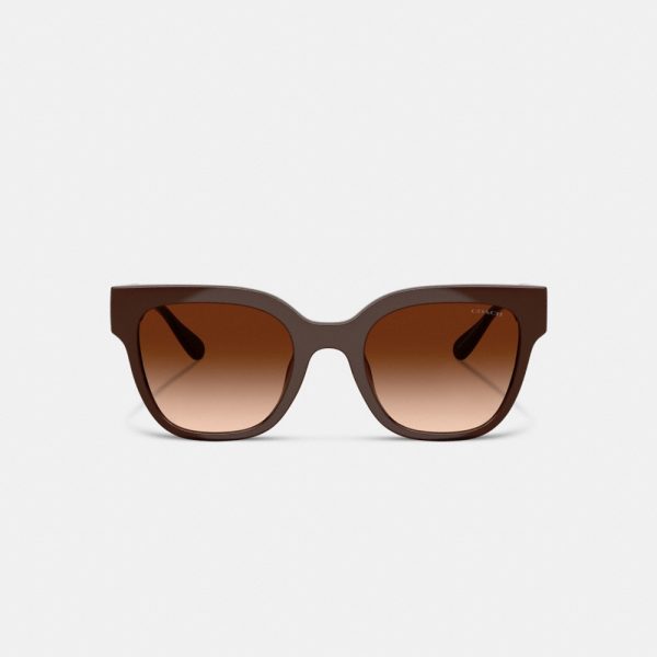 Coach Oversized Square Sunglasses - Preorder