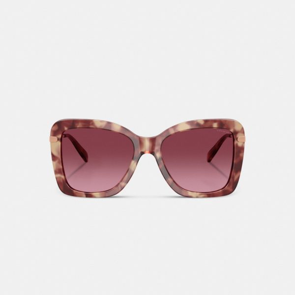 Coach C Hardware Oversized Butterfly Sunglasses - Preorder