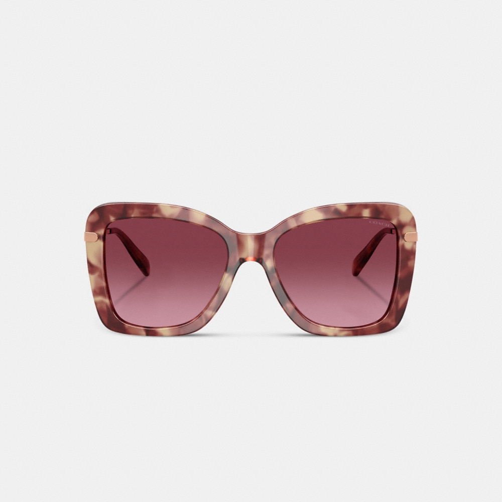 Coach C Hardware Oversized Butterfly Sunglasses - Preorder - Image 2