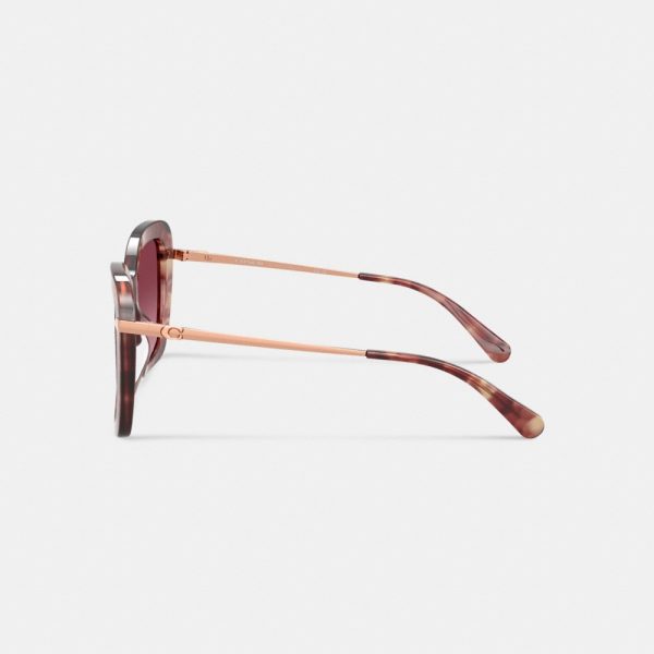 Coach C Hardware Oversized Butterfly Sunglasses - Preorder