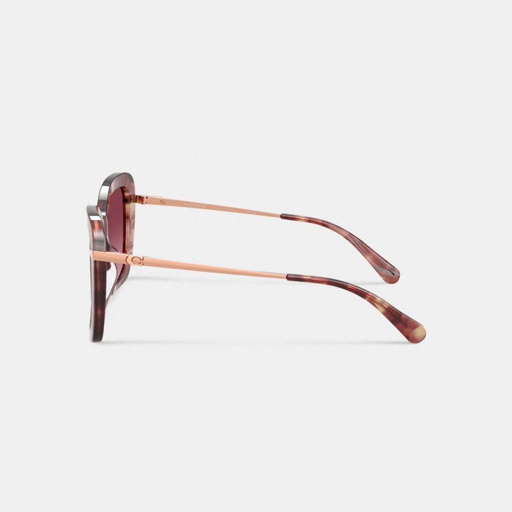 Coach C Hardware Oversized Butterfly Sunglasses - Preorder - Image 3
