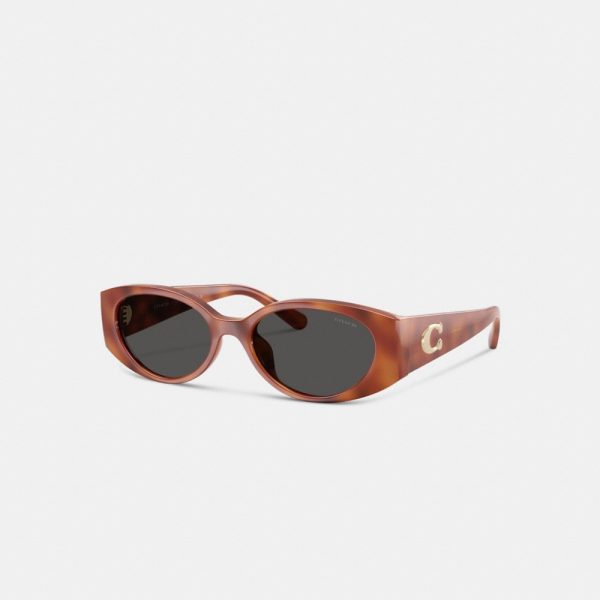 Coach Maxi Sculpted C Narrow Round Sunglasses - Preorder