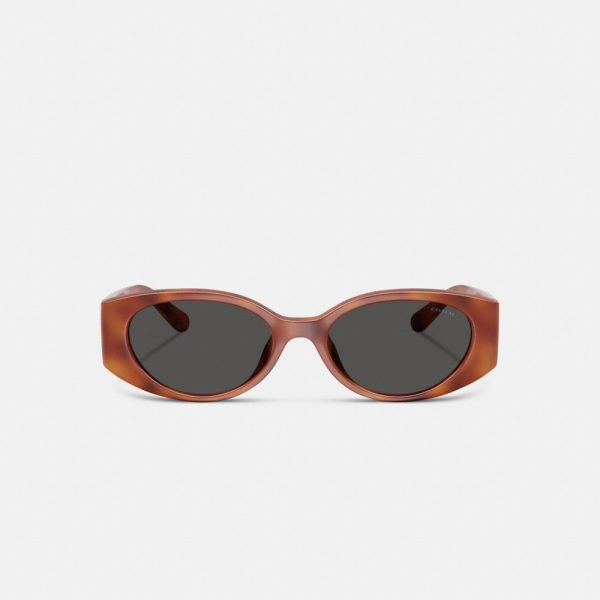 Coach Maxi Sculpted C Narrow Round Sunglasses - Preorder
